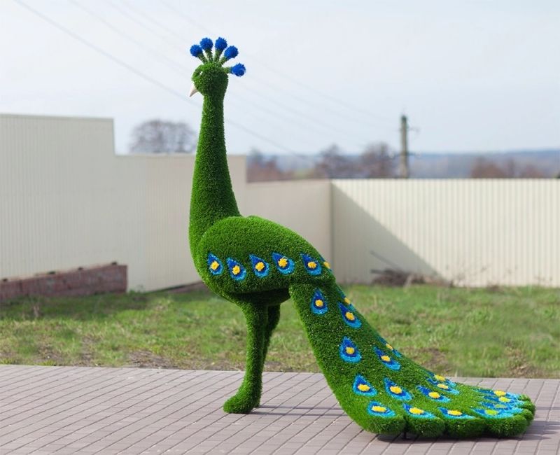 Павлин (Жар-птица) распродажа