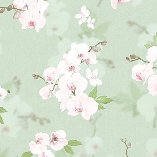 54342-4 Andrea Rossi Stromboli 1,06 x 10,05