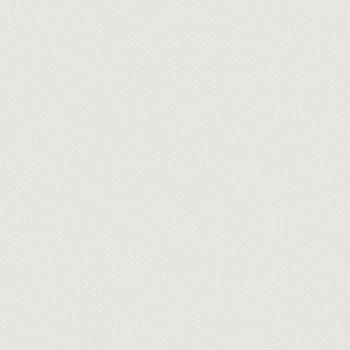 54310-2 Andrea Rossi Gallinara 1,06 х 10,05