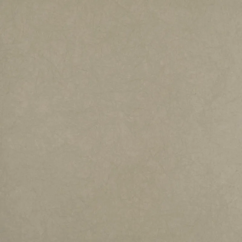 Флизелиновые обои Bernardo Bartalucci Legend 1.06x10 арт.5068-5