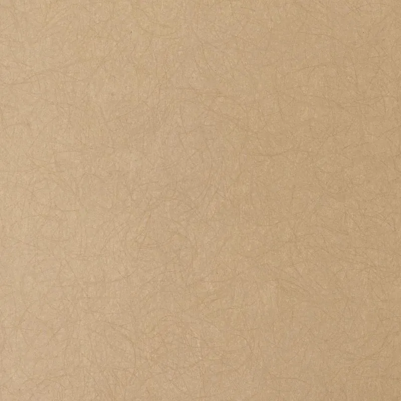 Флизелиновые обои Bernardo Bartalucci Legend 1.06x10 арт.5068-82