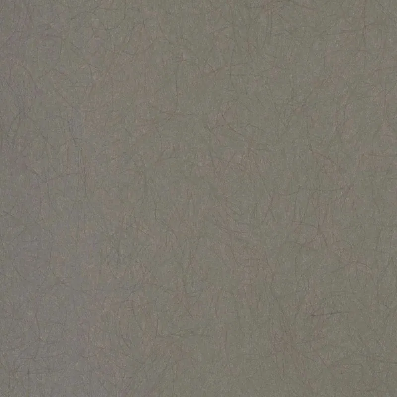 Флизелиновые обои Bernardo Bartalucci Legend 1.06x10 арт.5068-8