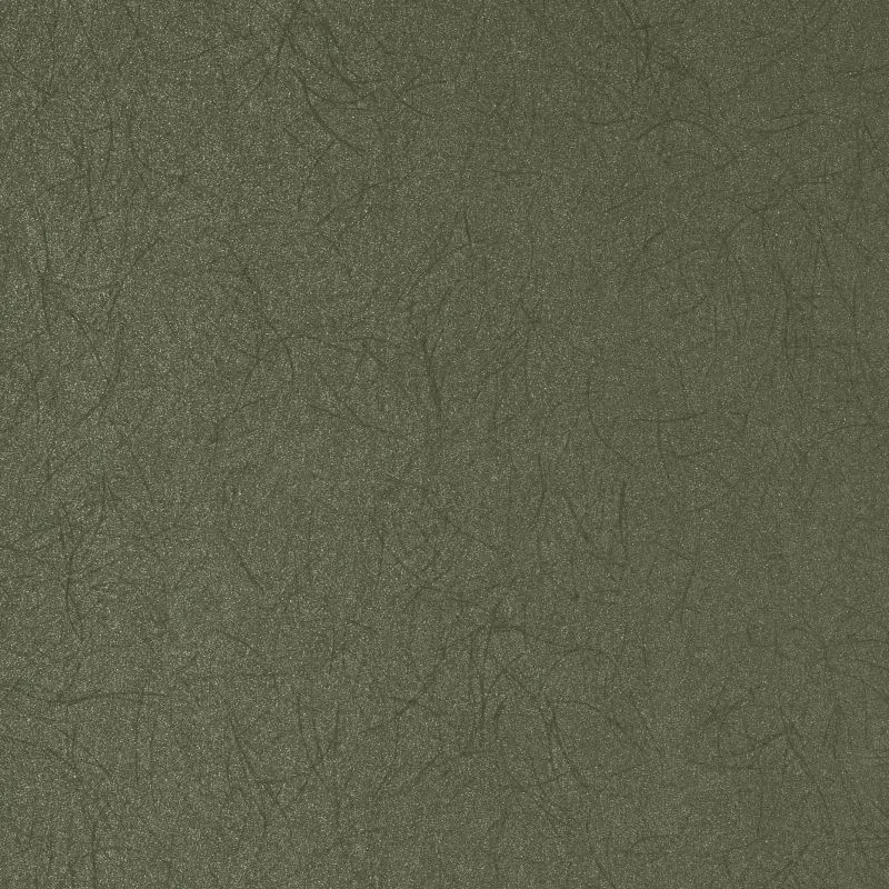 Флизелиновые обои Bernardo Bartalucci Legend 1.06x10 арт.5068-48