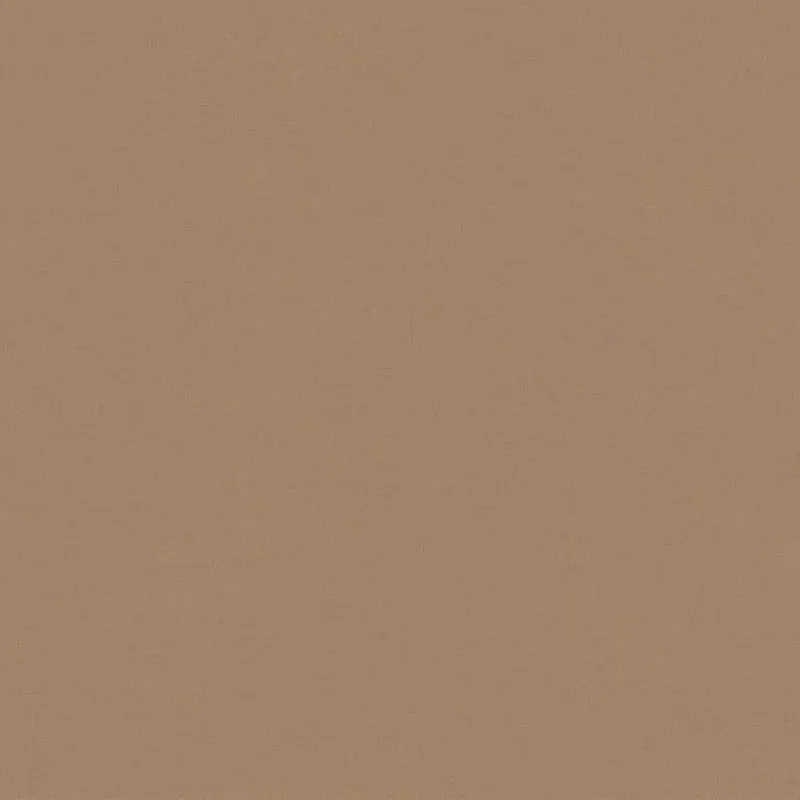 Флизелиновые обои Loymina Origins 1x10.05 арт.ALS8012/1