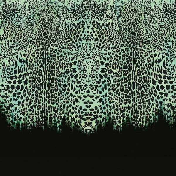 Виниловые фотообои Roberto Cavalli 8 RC19114