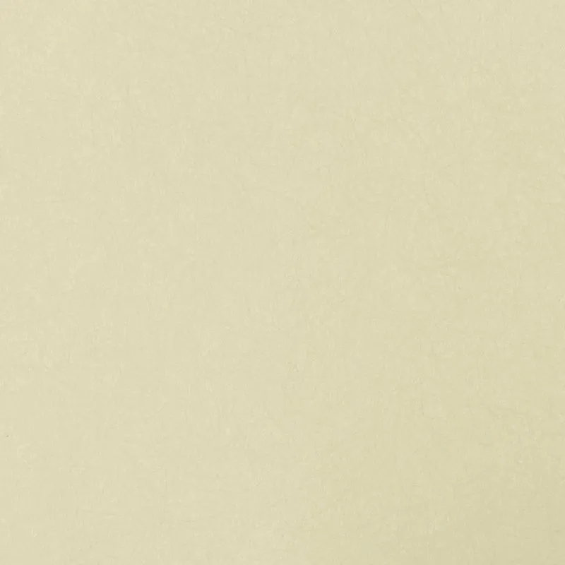 Флизелиновые обои Bernardo Bartalucci Legend 1.06x10 арт.5068-84