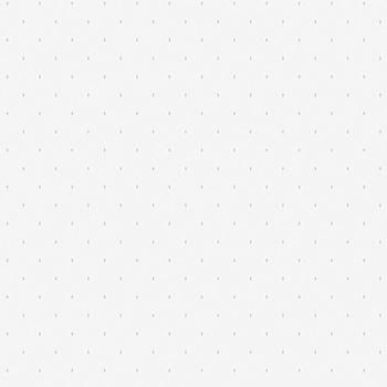 54312-2 Andrea Rossi Gallinara 1,06 х 10,05