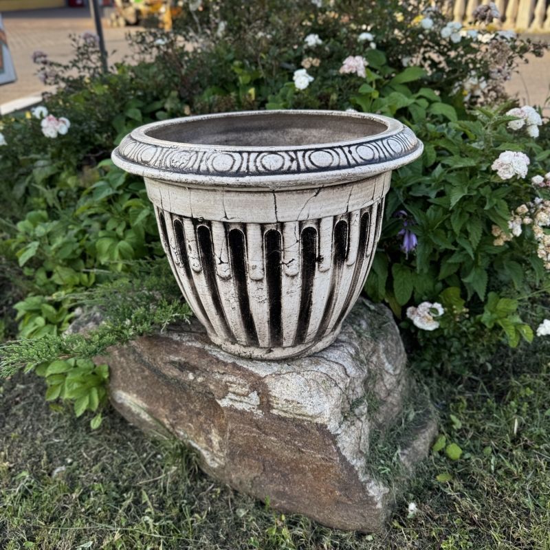 Глор большой