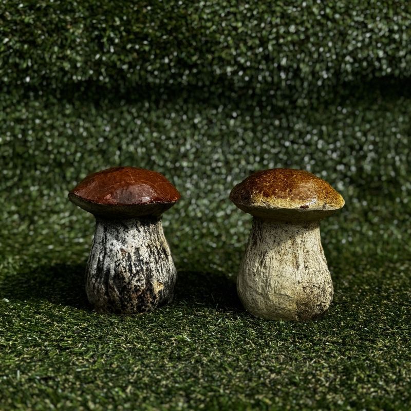 Гриб белый № 5