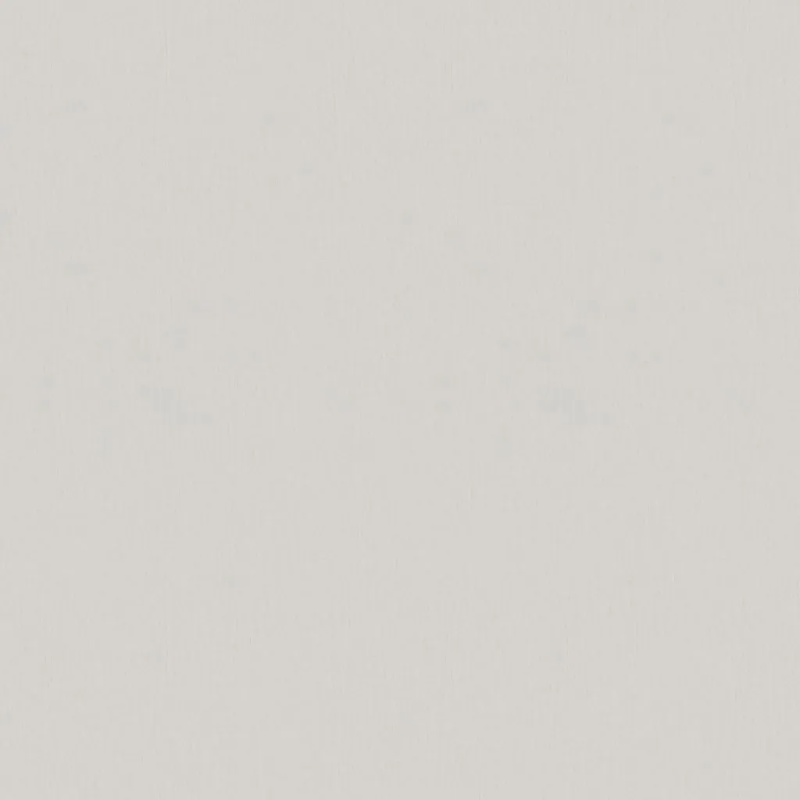 Виниловые обои на флизелиновой основе Fipar Modelli Di Luce 1.06x10.05 арт.R25530