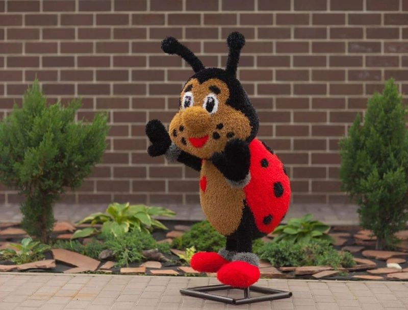 Божья коровка мальчик