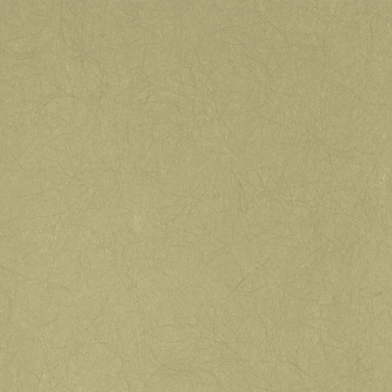 Флизелиновые обои Bernardo Bartalucci Legend 1.06x10 арт.5068-45