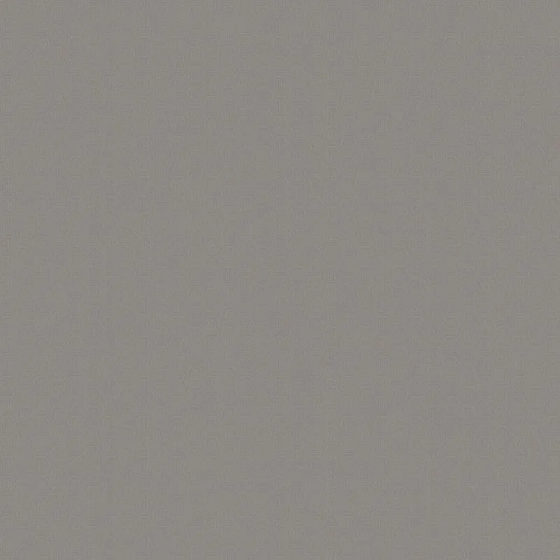 Виниловые обои на флизелиновой основе Zambaiti Philipp Plein 1.06x10.05 арт.Z80060