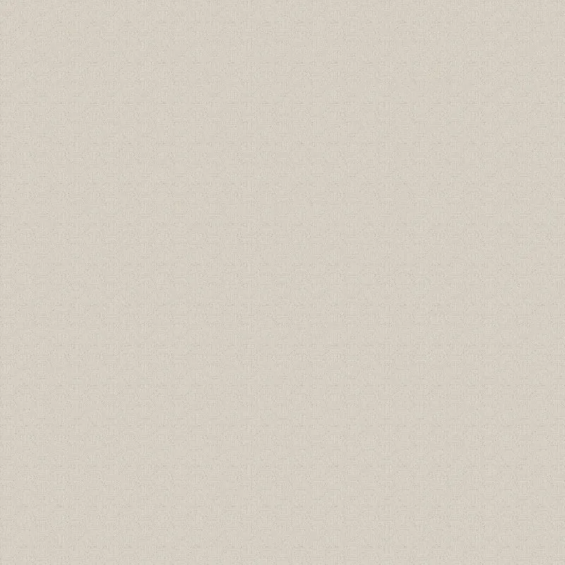 Виниловые обои на флизелиновой основе Zambaiti Philipp Plein 1.06x10.05 арт.Z80059