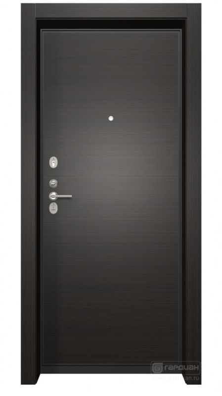 Гардиан ДС 2 6 Альянс Ш 02