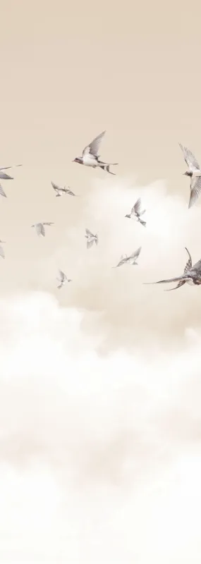 Флизелиновые обои Milassa Ambient vol3 x арт.AM11002/2