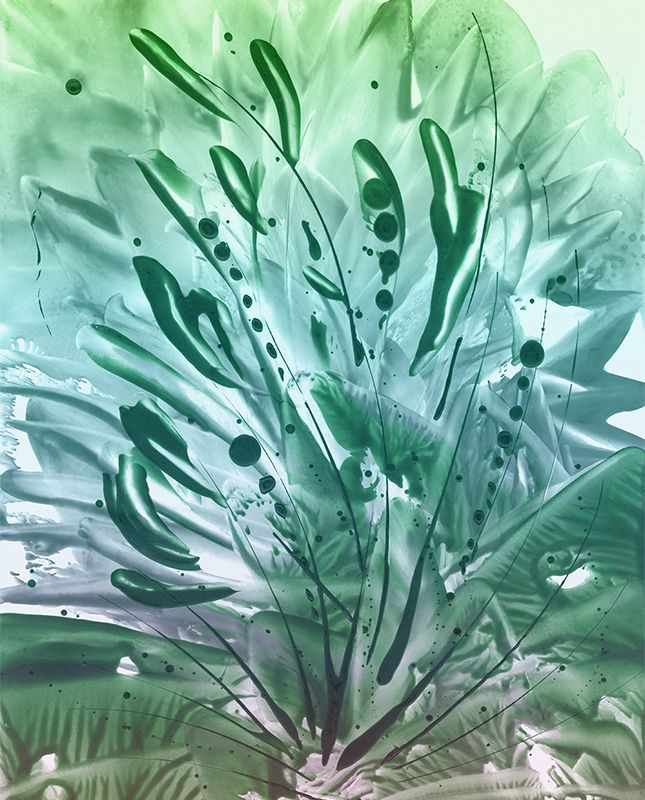 Фреска Encautica ENC_006_col2