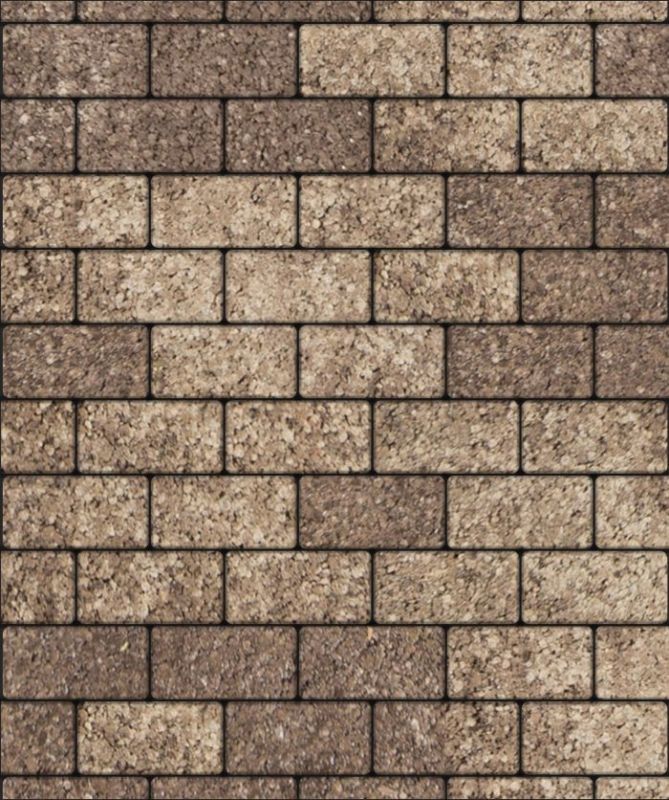 Тротуарная плитка ВЫБОР Прямоугольник Листопад Гранит Хаски Верхний прокрас 60 мм