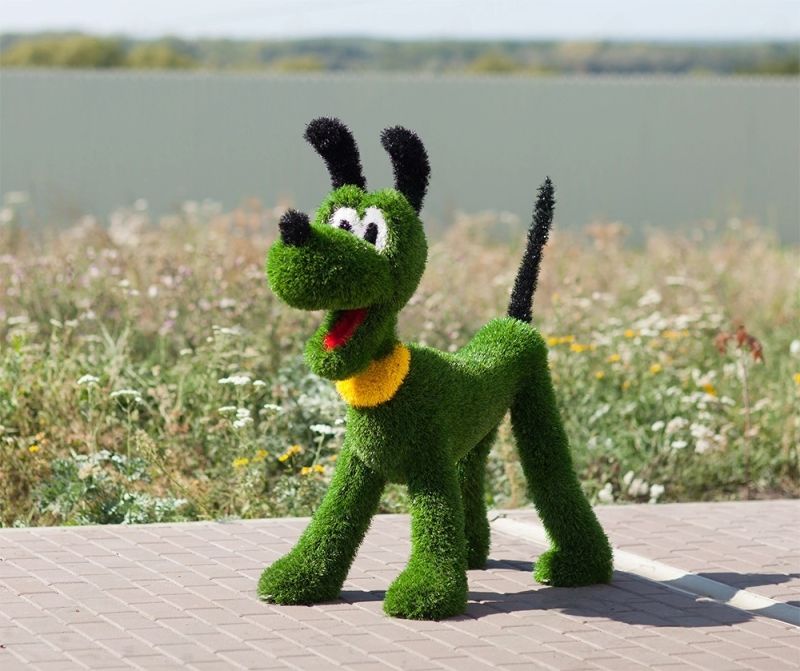 Топиари плутто