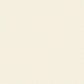 54308-1 Andrea Rossi Gallinara 1,06 х 10,05