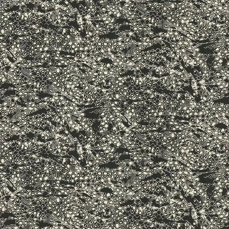 Виниловые обои на флизелиновой основе Emiliana Parati (Decori) Roberto Cavalli 8 1.06x10.05 арт.RC19036