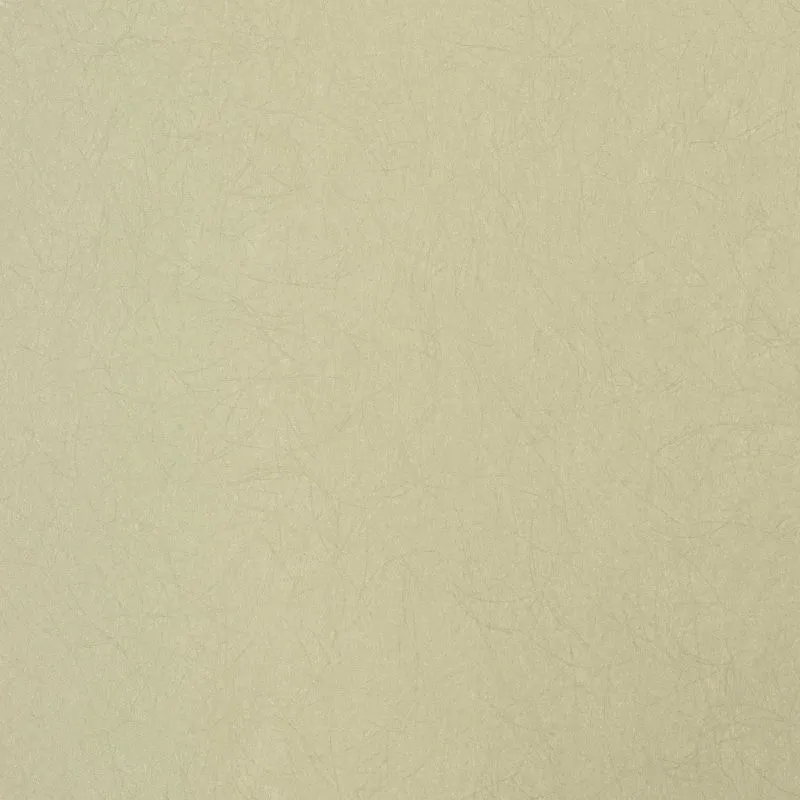 Флизелиновые обои Bernardo Bartalucci Legend 1.06x10 арт.5068-87