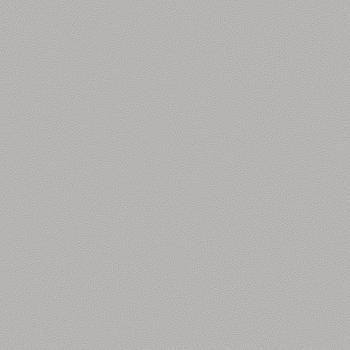 54310-10 Andrea Rossi Gallinara 1,06 х 10,05