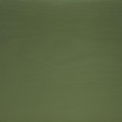 Аквалазурь для дерева, индустриальная Biofa (Бамбук) 10 л