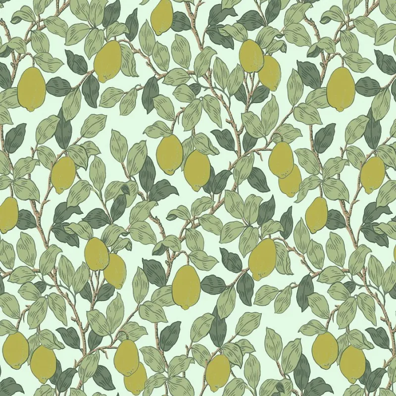 Флизелиновые обои Loymina Equator 1x10.05 арт.QTR3006