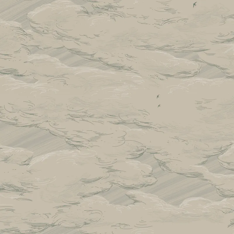 Флизелиновые обои Milassa Ambient vol3 1x10.05 арт.AM10005