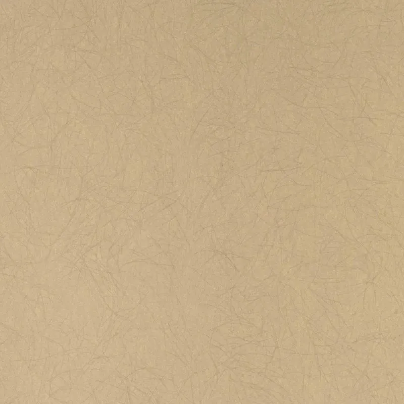 Флизелиновые обои Bernardo Bartalucci Legend 1.06x10 арт.5068-33