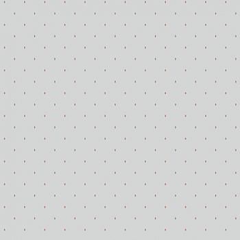 54312-5 Andrea Rossi Gallinara 1,06 х 10,05