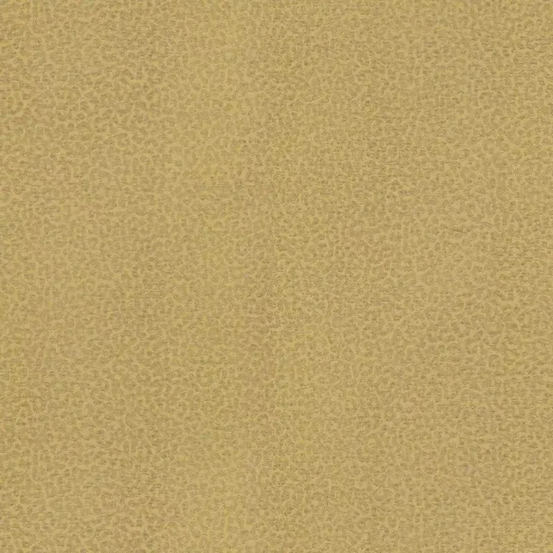 Виниловые обои на флизелиновой основе Emiliana Parati (Decori) Roberto Cavalli 8 1.06x10.05 арт.RC19017