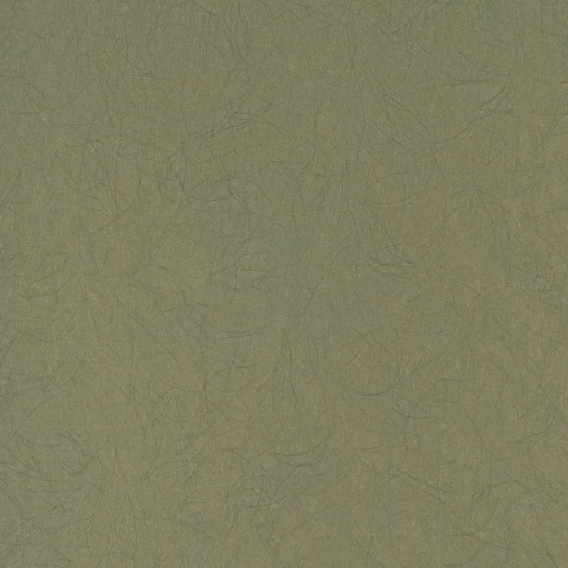 Флизелиновые обои Bernardo Bartalucci Legend 1.06x10 арт.5068-49