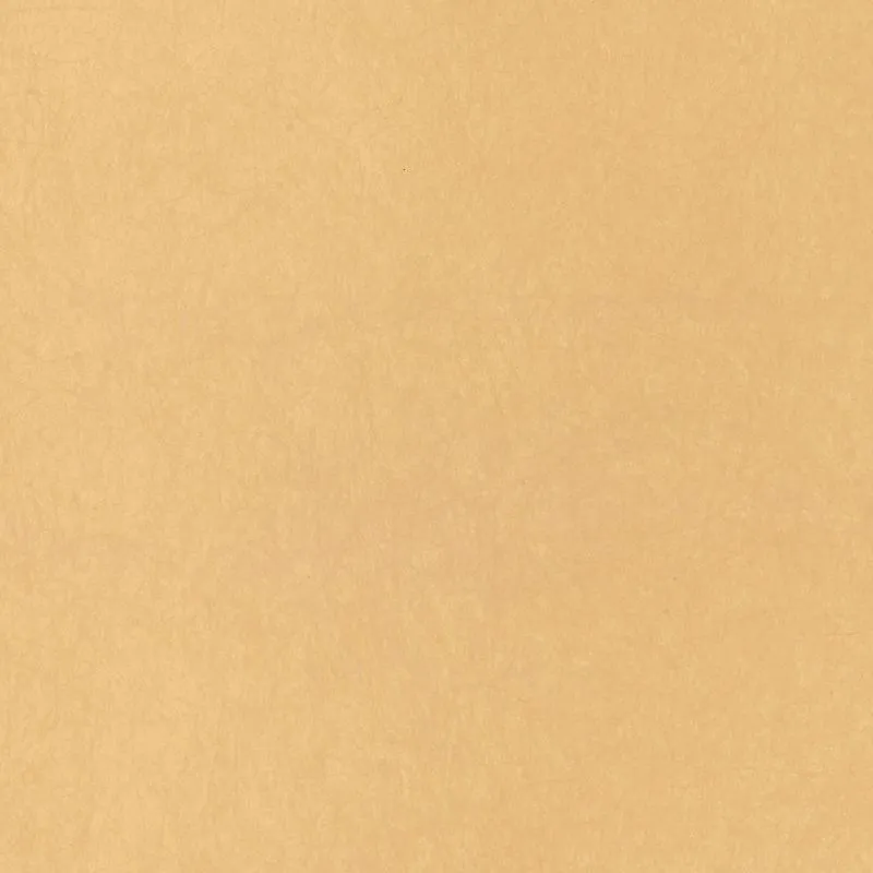 Флизелиновые обои Bernardo Bartalucci Legend 1.06x10 арт.5068-61