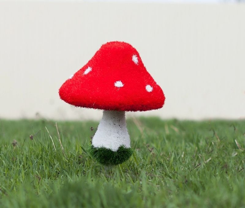 Мухомор большой новый