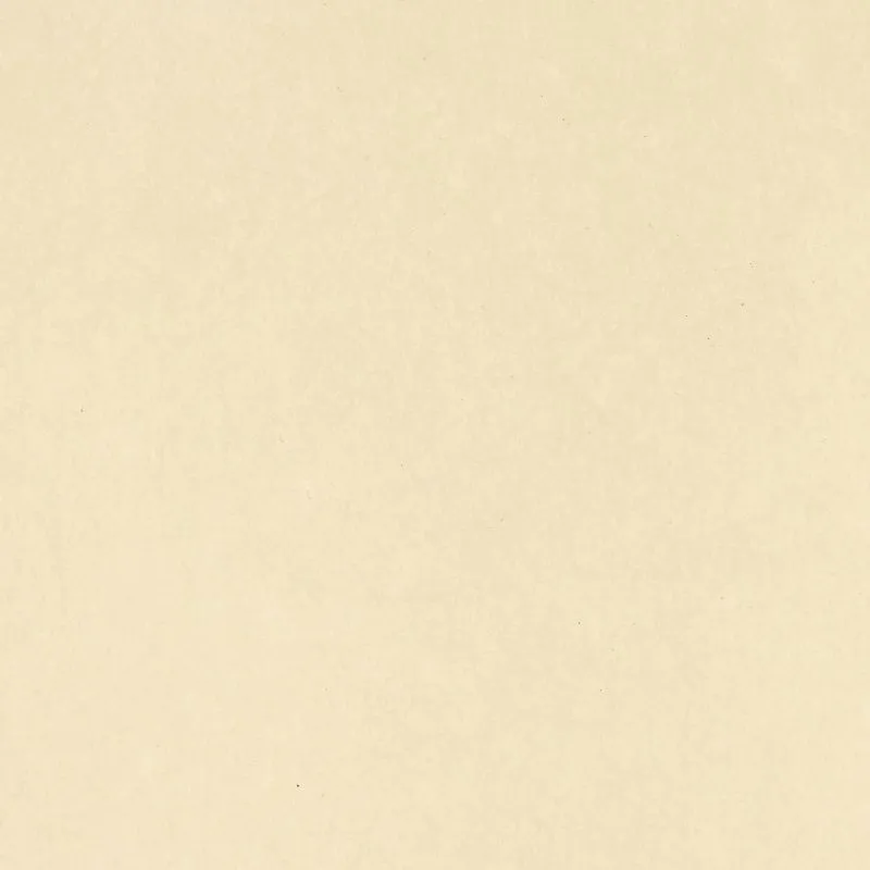 Флизелиновые обои Bernardo Bartalucci Legend 1.06x10 арт.5068-53