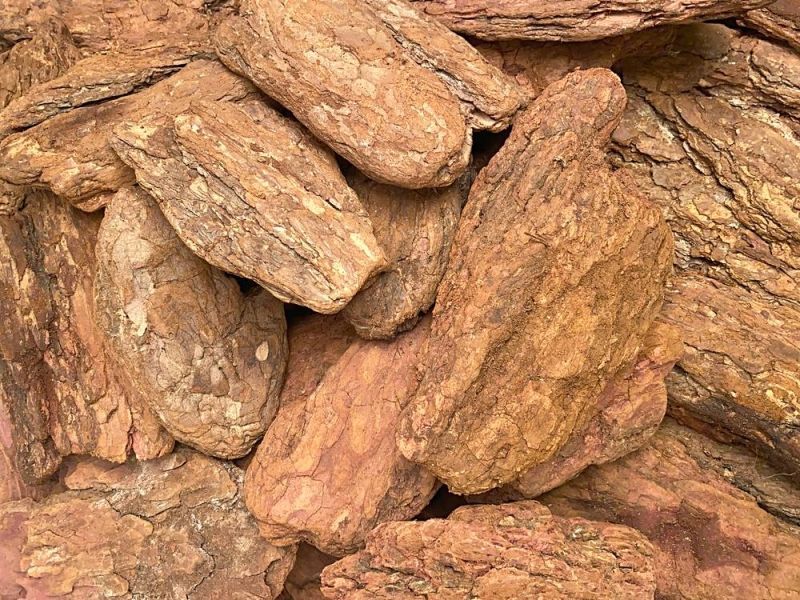 Кора лиственницы ГАЛТОВАННАЯ 9-20 см 60 л