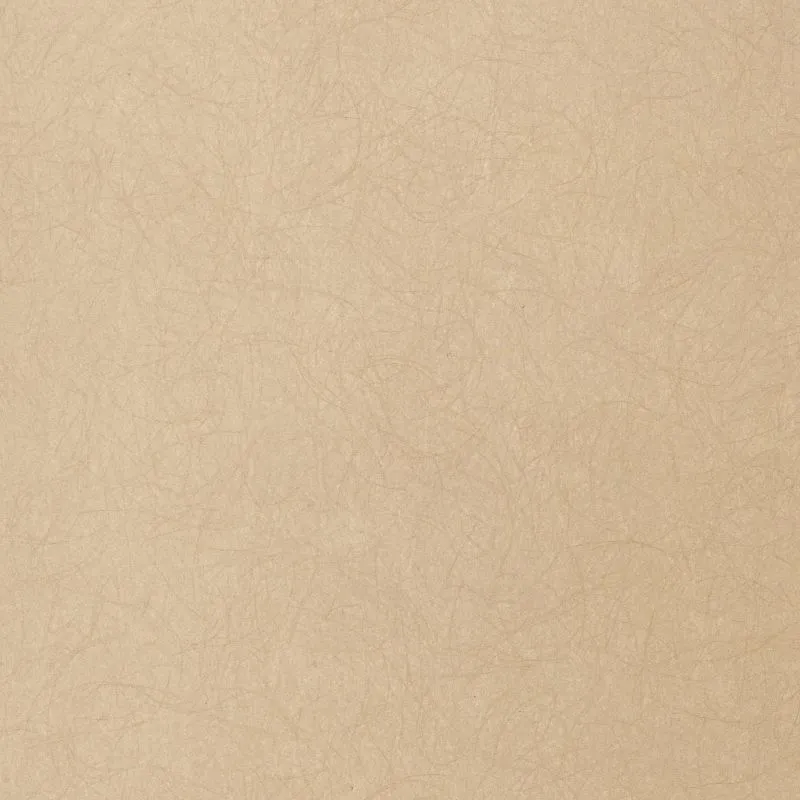 Флизелиновые обои Bernardo Bartalucci Legend 1.06x10 арт.5068-80