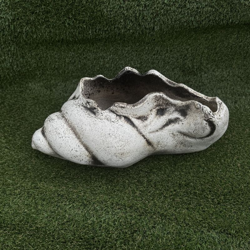 Ракушка большая