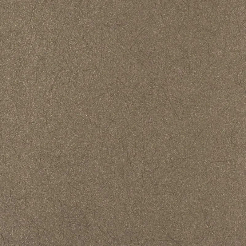 Флизелиновые обои Bernardo Bartalucci Legend 1.06x10 арт.5068-66