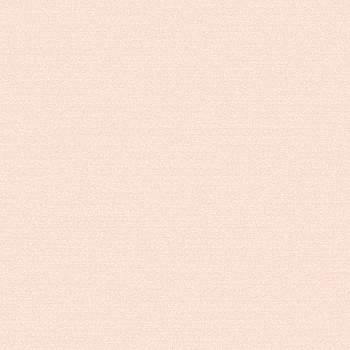 54308-4 Andrea Rossi Gallinara 1,06 х 10,05