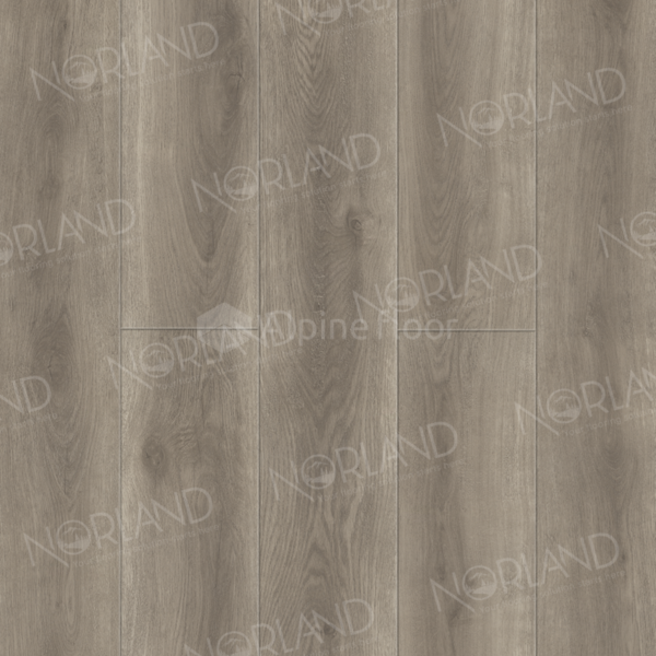 SPC ламинат Templet 2001-6