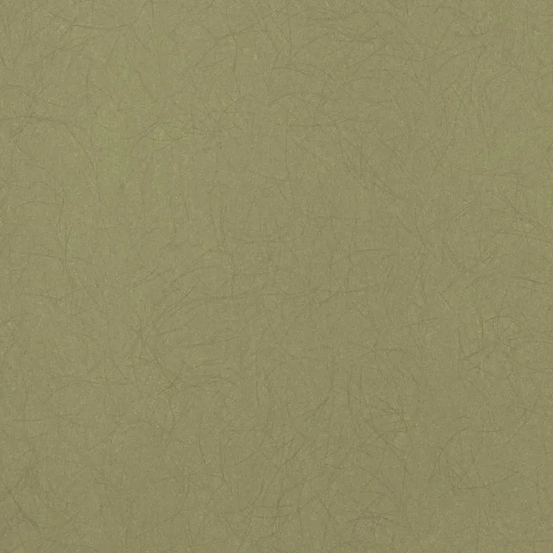 Флизелиновые обои Bernardo Bartalucci Legend 1.06x10 арт.5068-47