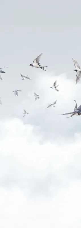 Флизелиновые обои Milassa Ambient vol3 x арт.AM11006/2