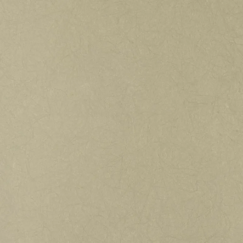 Флизелиновые обои Bernardo Bartalucci Legend 1.06x10 арт.5068-69