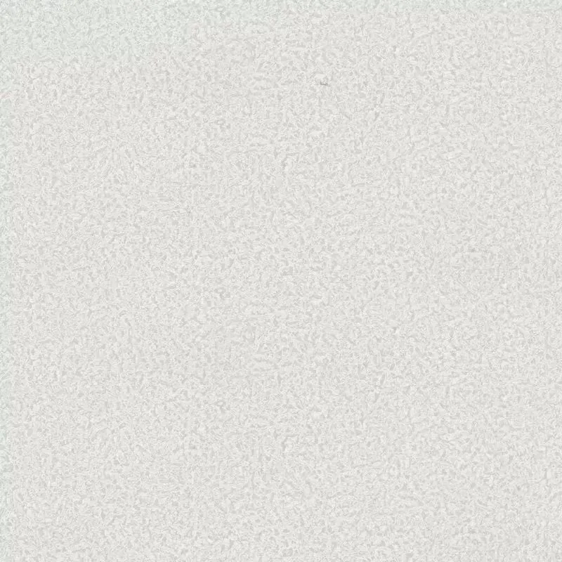 Виниловые обои на флизелиновой основе Emiliana Parati (Decori) Roberto Cavalli 8 1.06x10.05 арт.RC19024