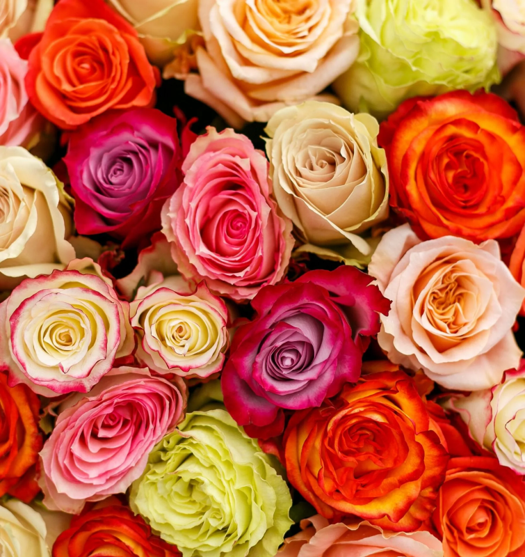 Роза в ассортименте