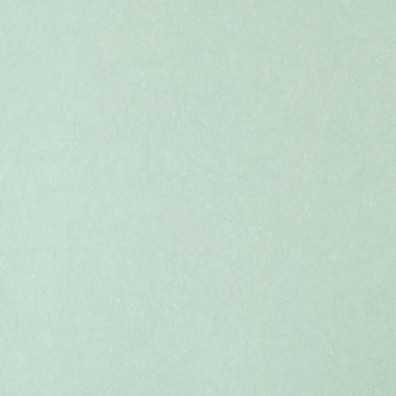 Флизелиновые обои Bernardo Bartalucci Legend 1.06x10 арт.5068-76