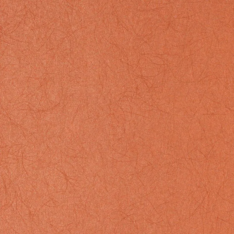 Флизелиновые обои Bernardo Bartalucci Legend 1.06x10 арт.5068-58